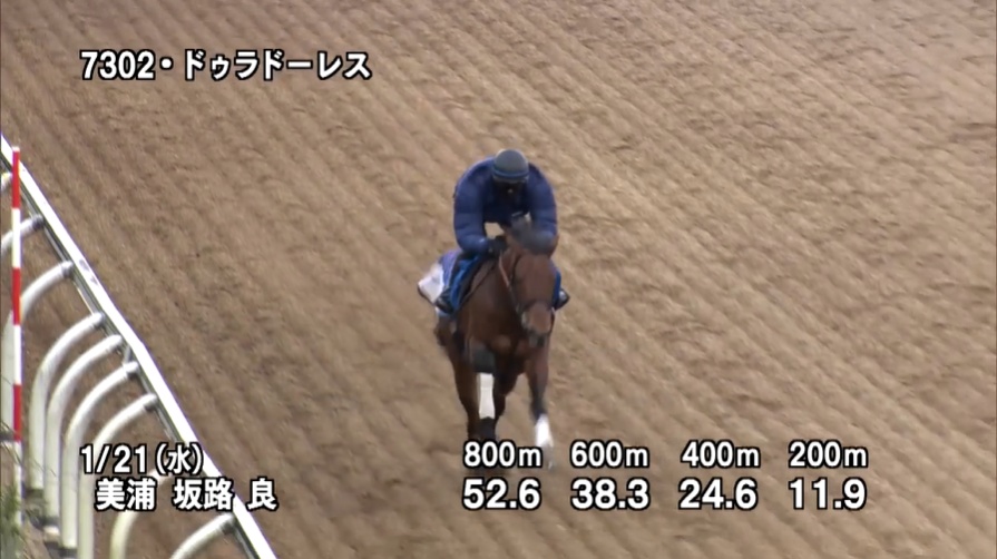 ajcc 2026 追い切り