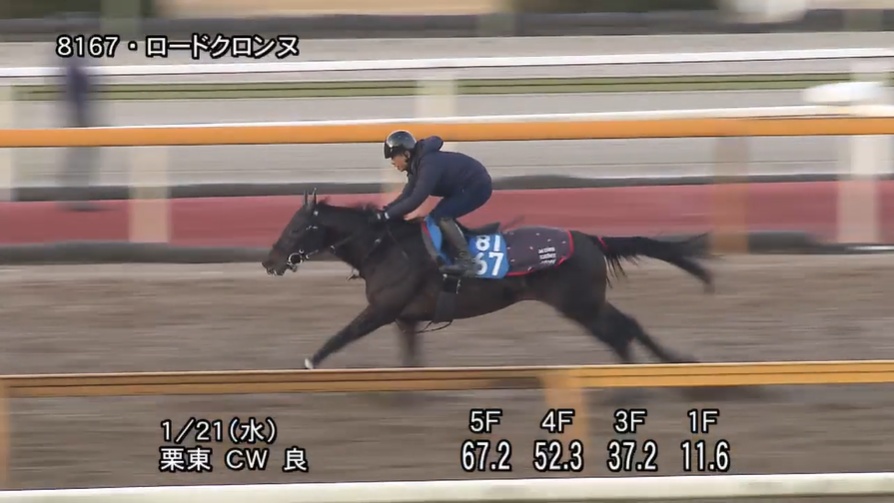 プロキオンステークス2026 追い切り