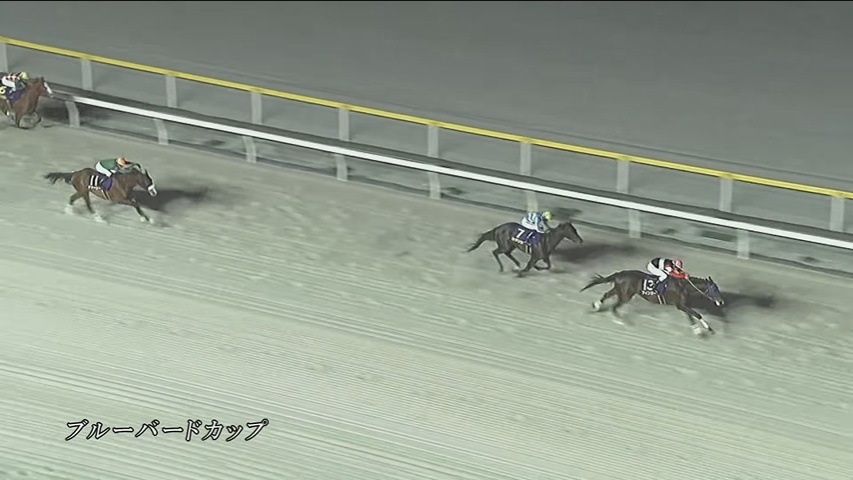 ブルーバードカップ2026 フィンガー