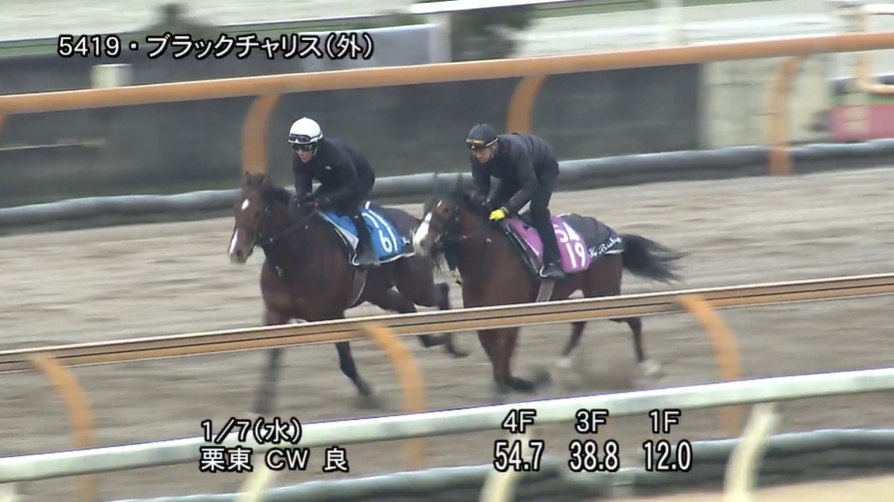 フェアリーステークス2026 追い切り