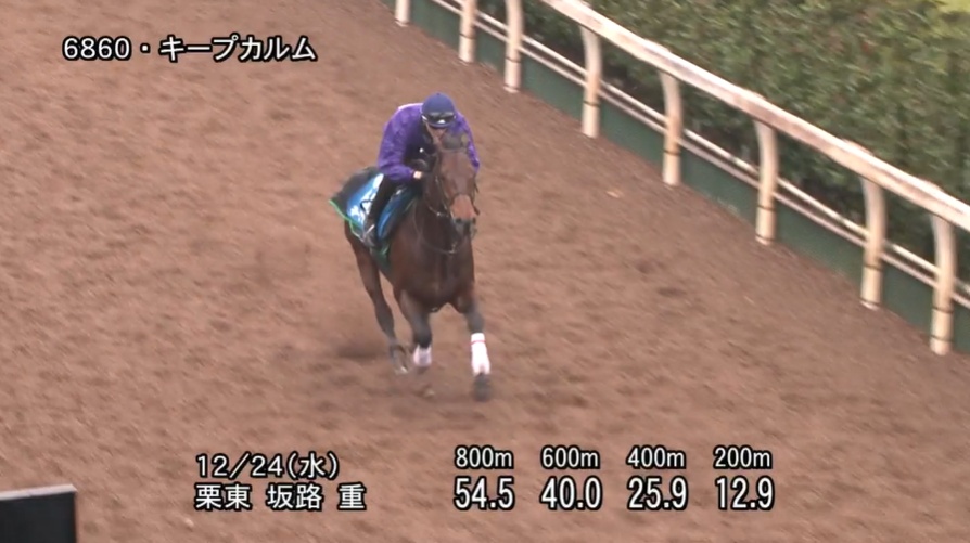 京都金杯2026 追い切り