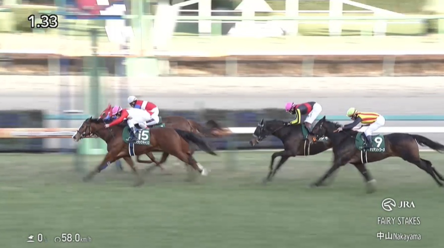 フェアリーステークス2026 ブラックチャリス