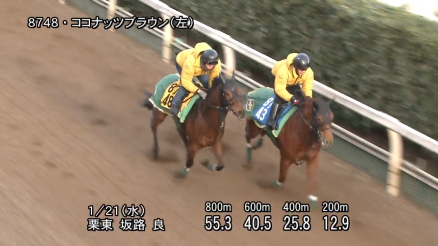 小倉牝馬ステークス2026 追い切り