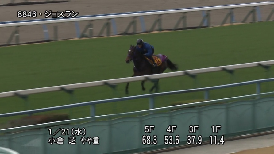 小倉牝馬ステークス2026 追い切り