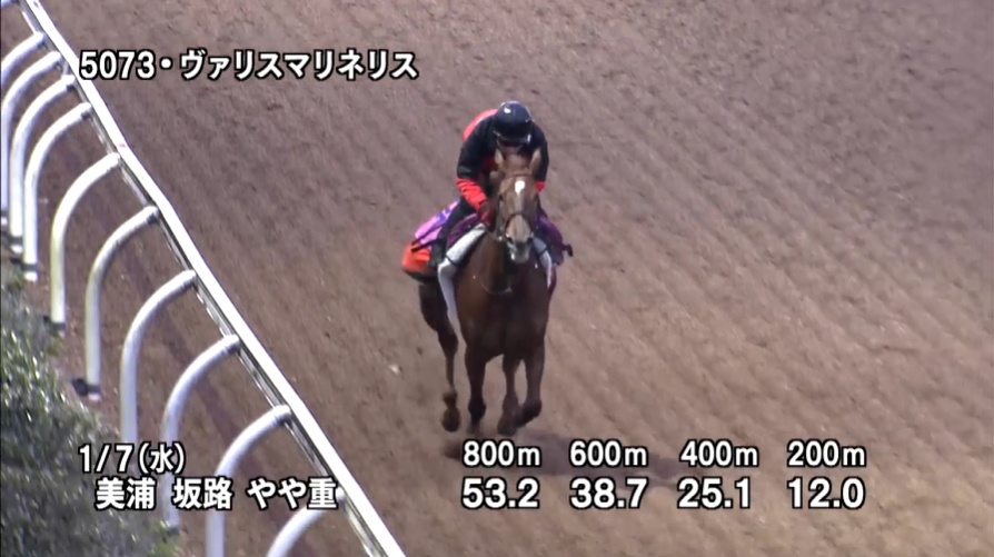 フェアリーステークス2026 追い切り