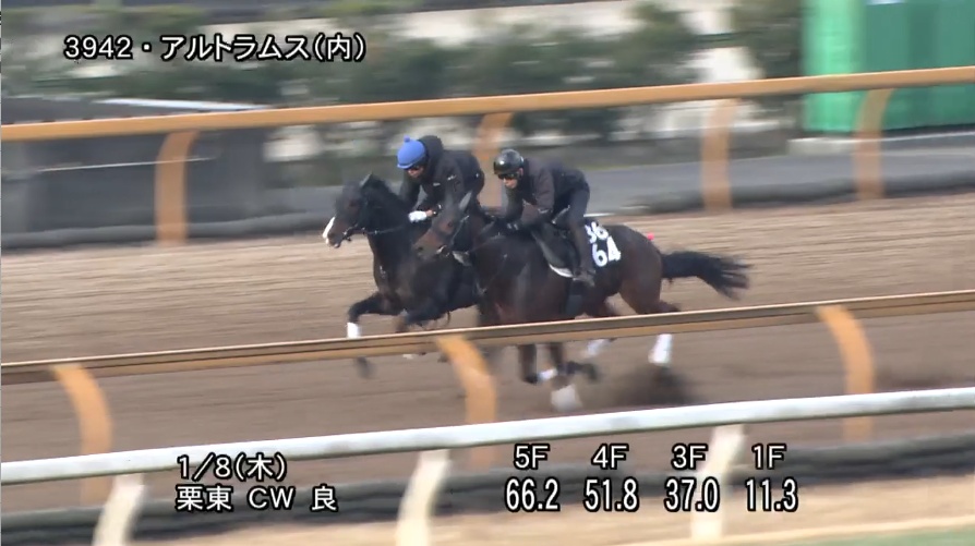 シンザン記念2026 追い切り