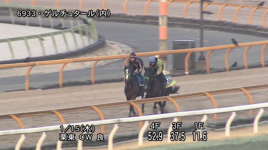 日経新春杯2026 追い切り