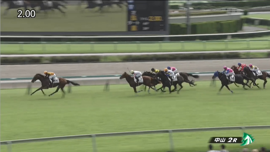 京成杯2026 出走予定馬 ポルフュロゲネトス