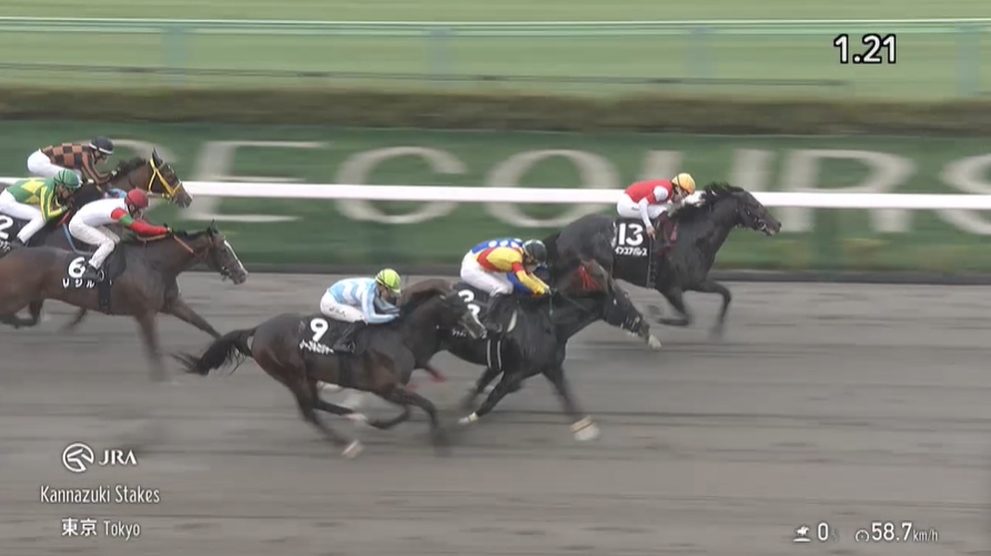 根岸ステークス2026 出走予定馬 インユアパレス