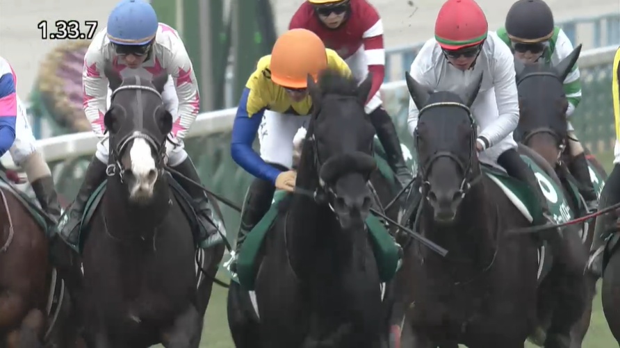 京都金杯2026 ブエナオンダ