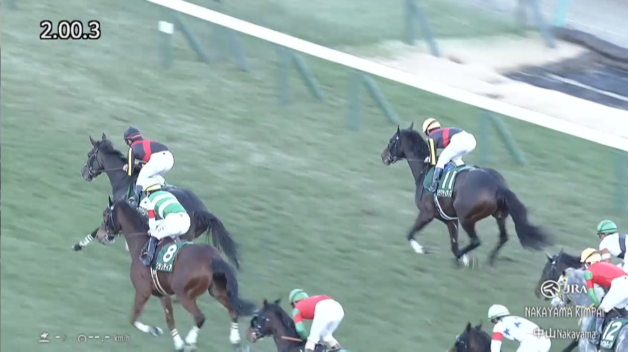 中山金杯2026 カラマティアノス