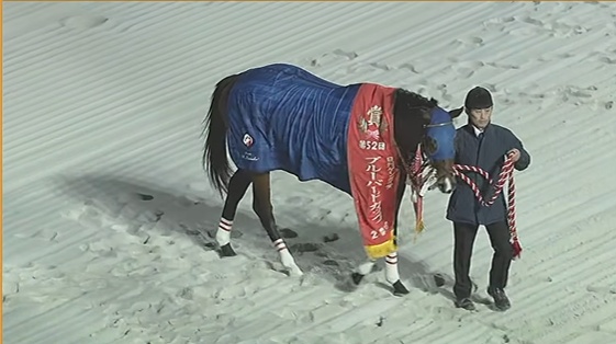 ブルーバードカップ2026 フィンガー