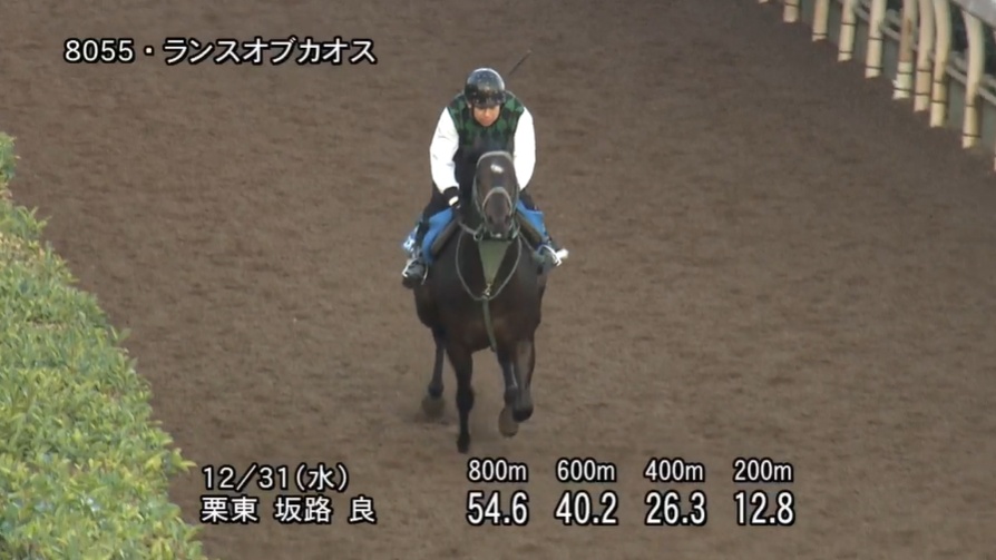 京都金杯2026 追い切り