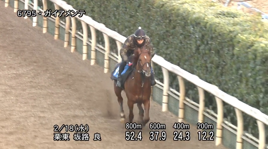 小倉大賞典2026 追い切り