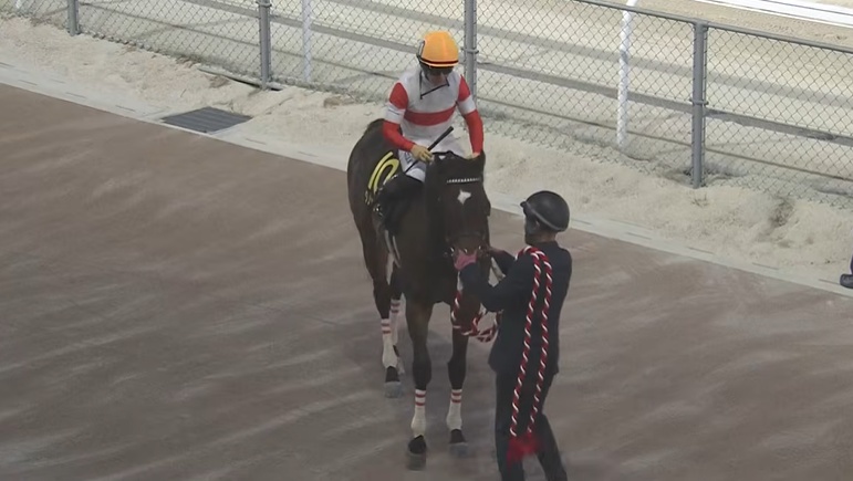 かきつばた記念2026 ダノンフィーゴ