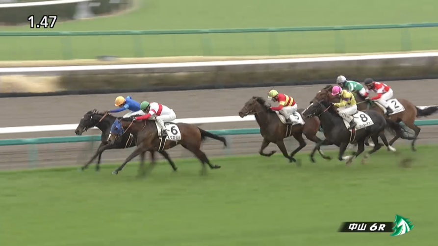 小倉大賞典2026 出走予定馬 センツブラッド