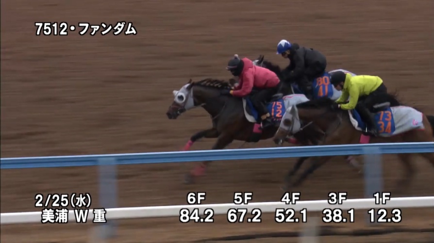 オーシャンステークス2026 追い切り