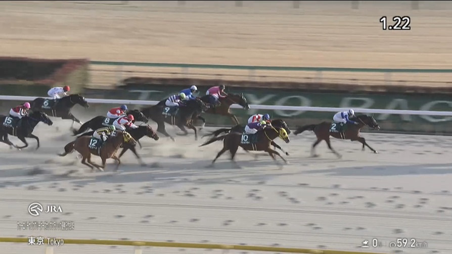 根岸ステークス2026 ロードフォンス