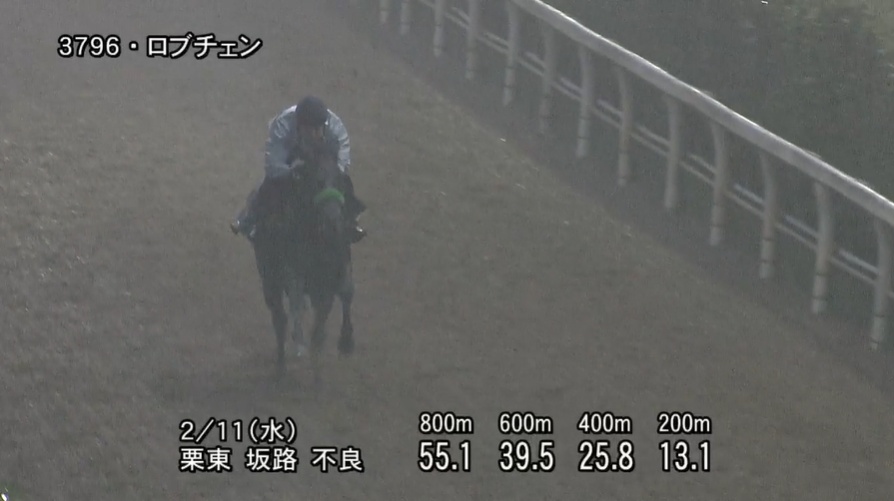 共同通信杯2026 追い切り