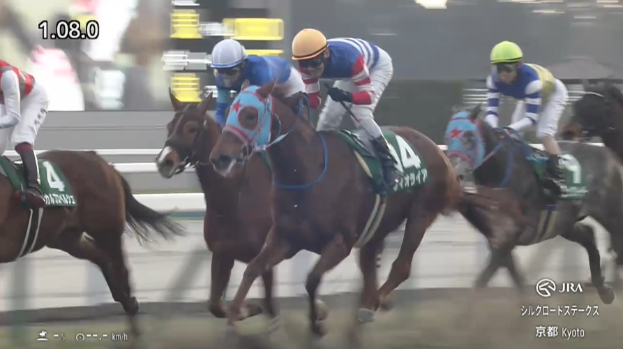 シルクロードステークス2026 フィオライア