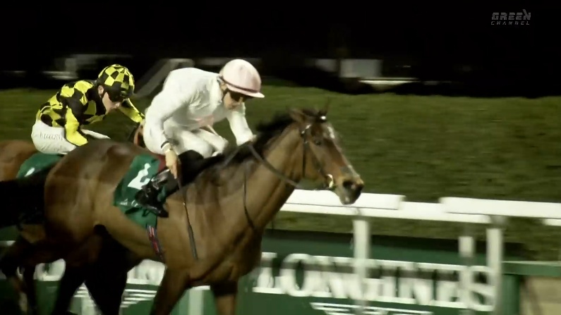 レッドシーターフハンデキャップ2026 サンズアンドラバーズ