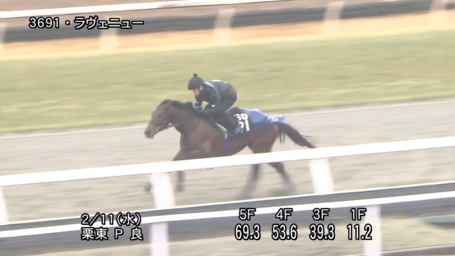 共同通信杯2026 追い切り