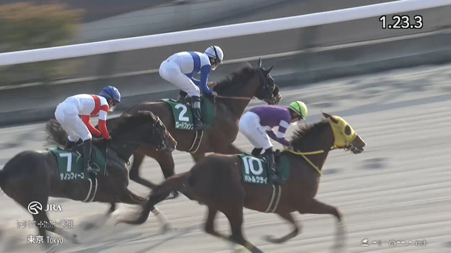 根岸ステークス2026 ロードフォンス