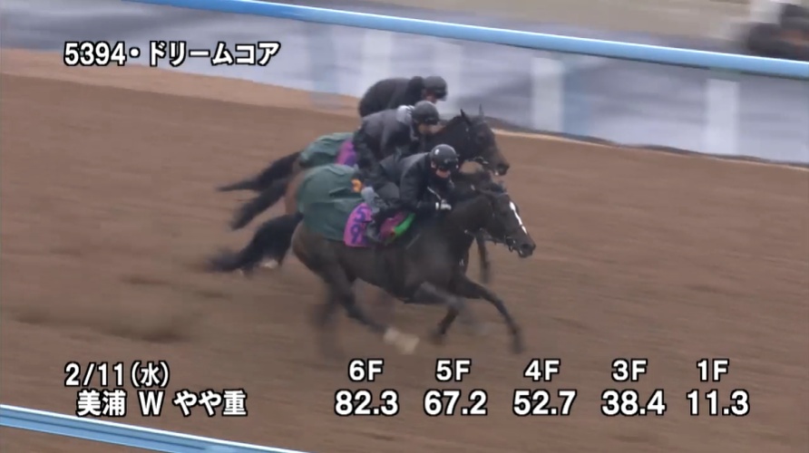 クイーンカップ2026 追い切り