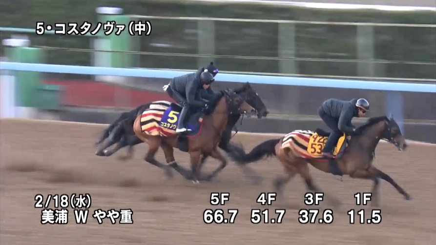 フェブラリーステークス2026 追い切り