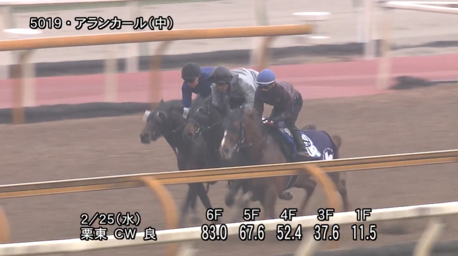 チューリップ賞2026 追い切り