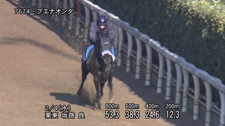 東京新聞杯2026 追い切り