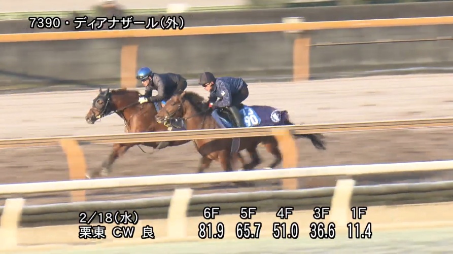 阪急杯2026 追い切り