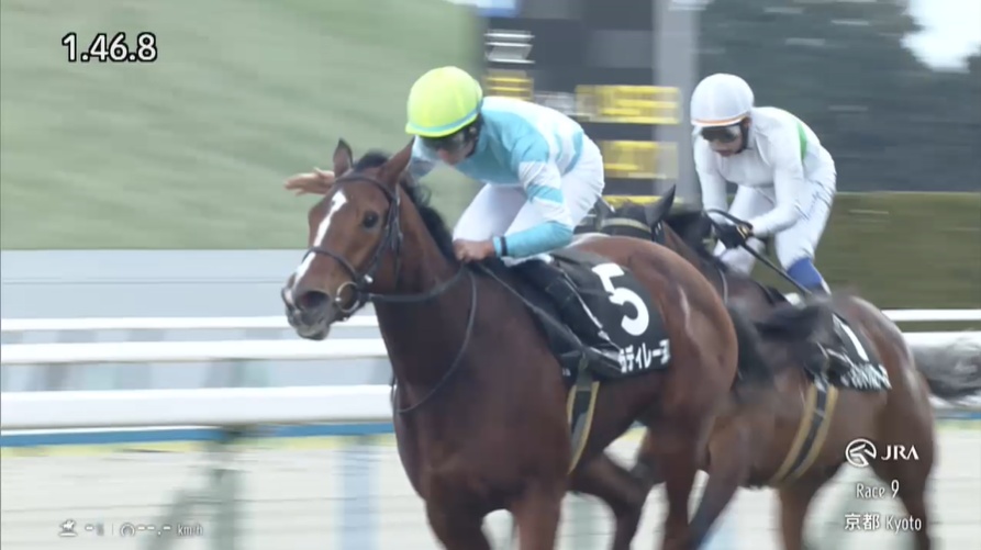 中山牝馬ステークス2026 出走予定馬 パラディレーヌ