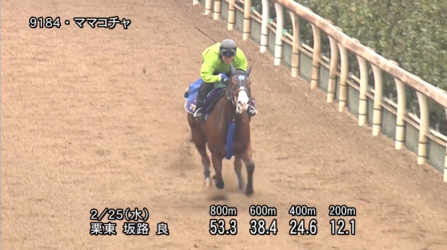 オーシャンステークス2026 追い切り