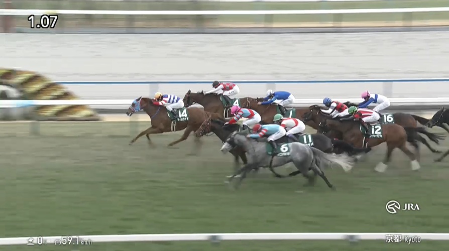 シルクロードステークス2026 フィオライア