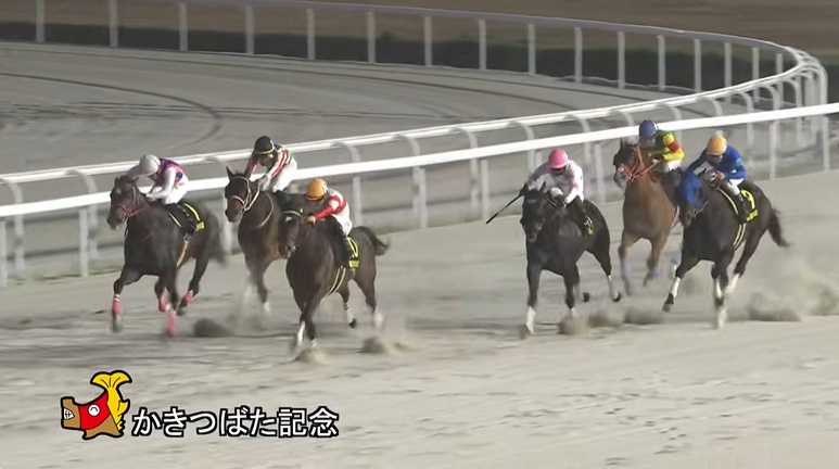 かきつばた記念2026 ダノンフィーゴ