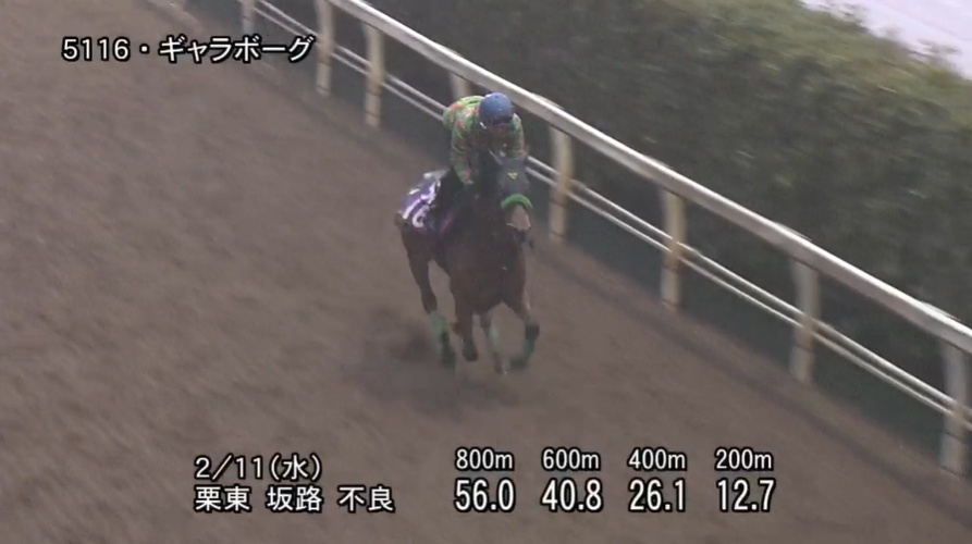 クイーンカップ2026 追い切り