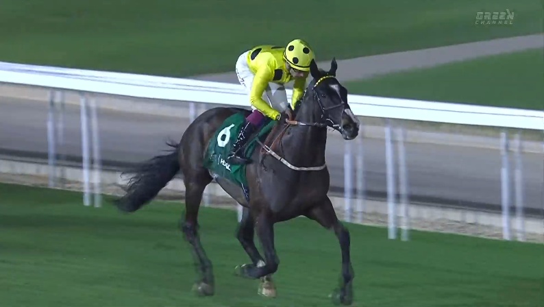 ネオムターフカップ2026 ロイヤルチャンピオン