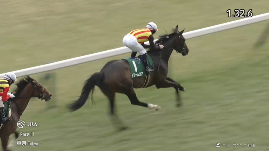 クイーンカップ2026 ドリームコア