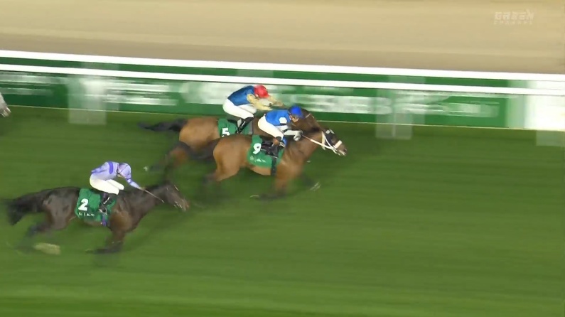 1351ターフスプリント2026 リーフランナー