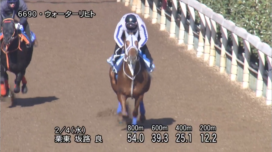 東京新聞杯2026 追い切り