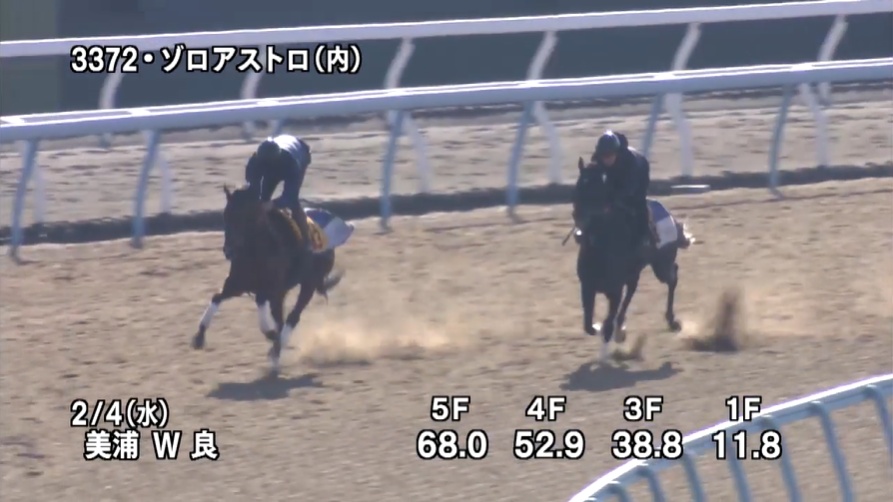 きさらぎ賞2026 追い切り