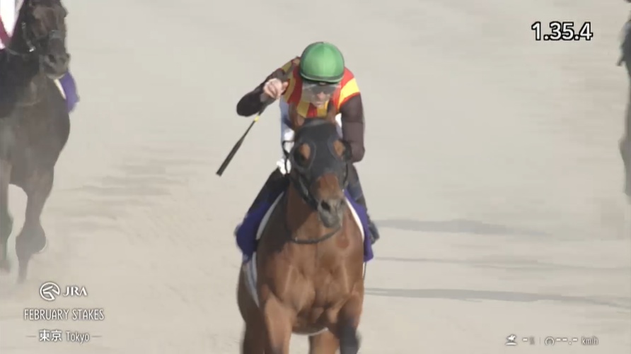 フェブラリーステークス2026 コスタノヴァ