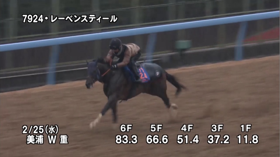 中山記念2026 追い切り