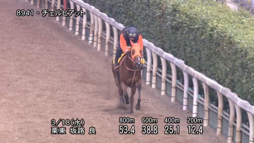 愛知杯2026 追い切り