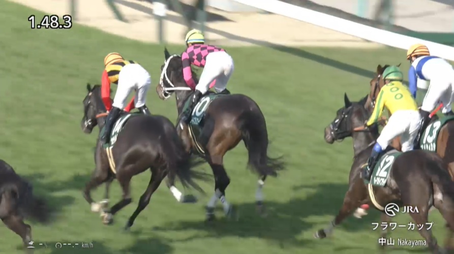 フラワーカップ2026 スマートプリエール