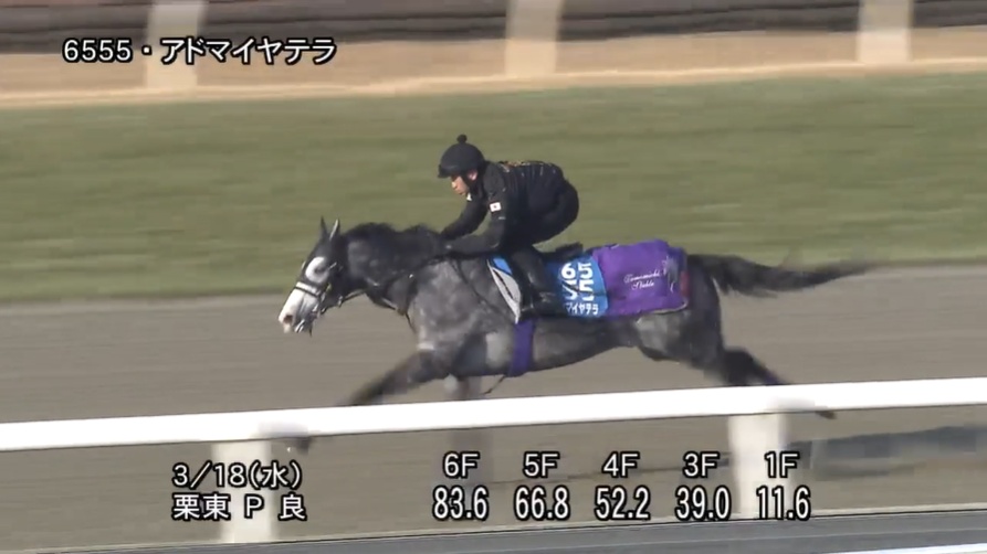 阪神大賞典2026 追い切り