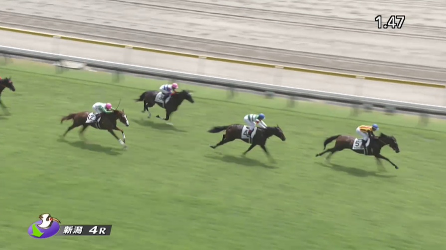 フラワーカップ2026出走予定馬 アートバーゼル