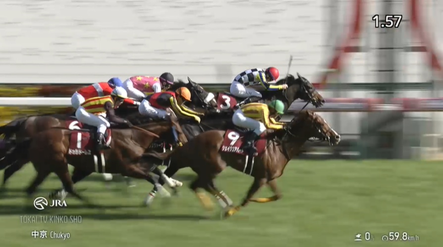 金鯱賞2026 シェイクユアハート