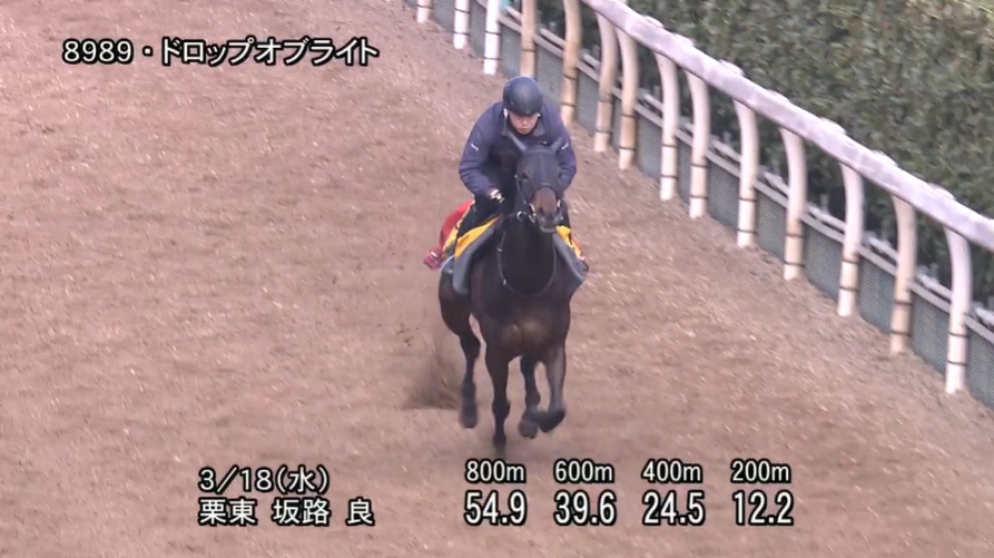 愛知杯2026 追い切り